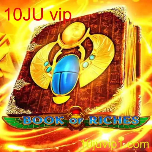Desvendando o Fascinante Mundo de BookofRiches